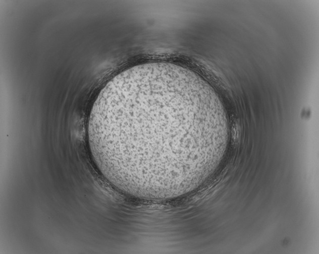 X0000096691204200802261532