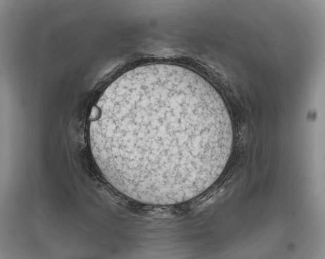 X0000096691205200802261532