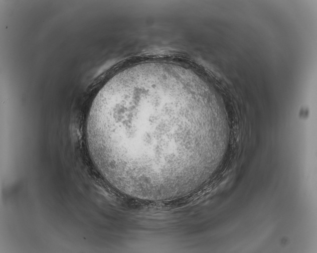 X0000096691206200802261532