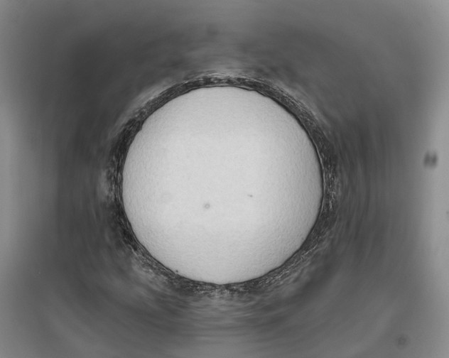 X0000096691207200802261532