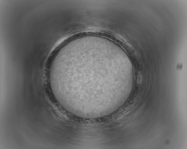 X0000096691208200802261532