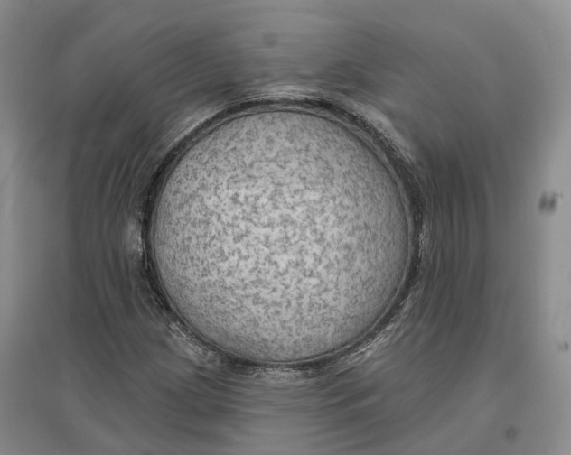 X0000096691209200802261532