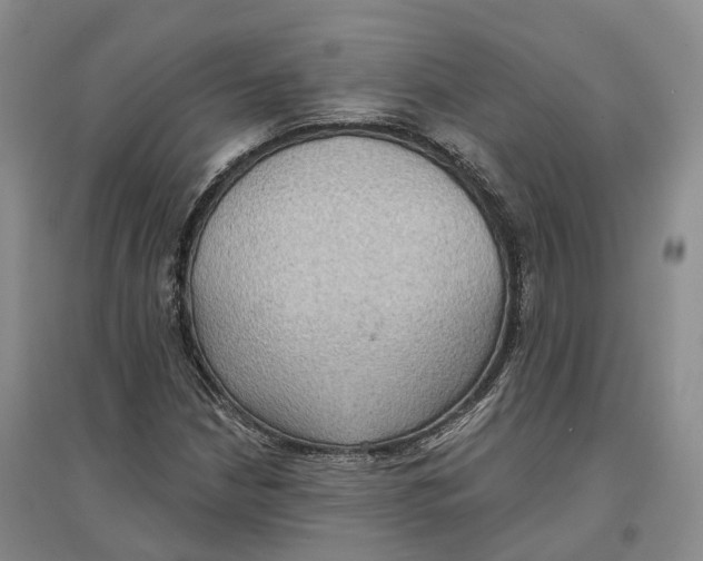 X0000096691210200802261532