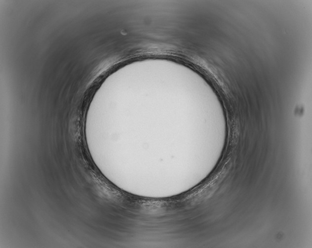 X0000096691211200802261532