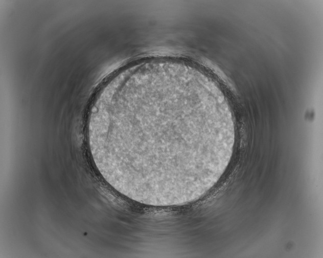 X0000096691213200802261532