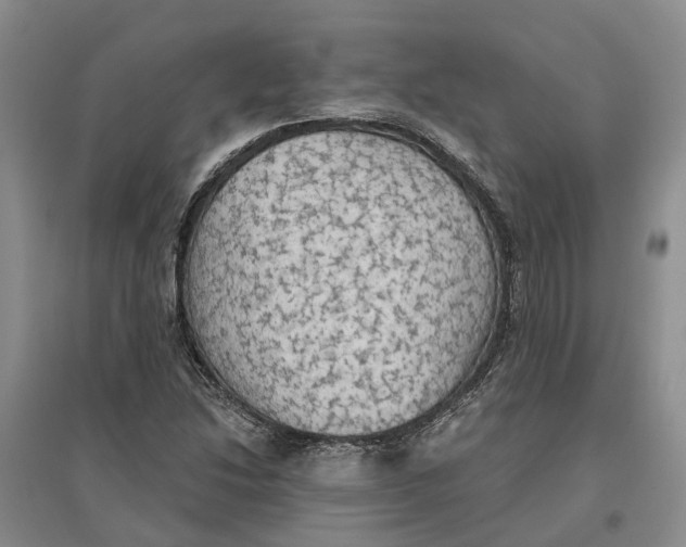 X0000096691214200802261532