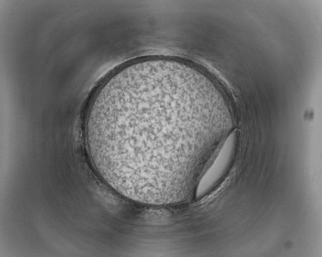 X0000096691215200802261532