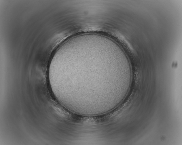 X0000096691217200802261532