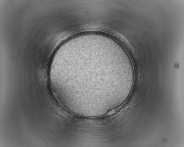 X0000096691218200802261532