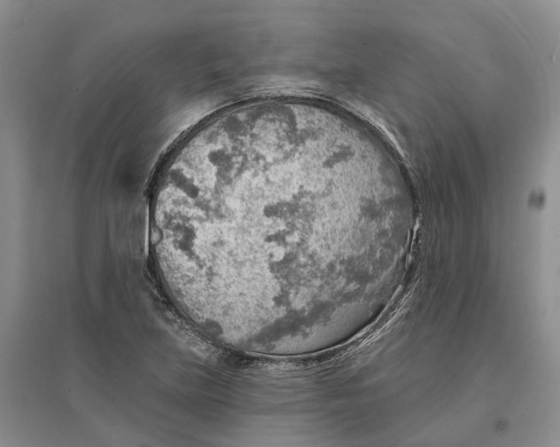 X0000096691219200802261532