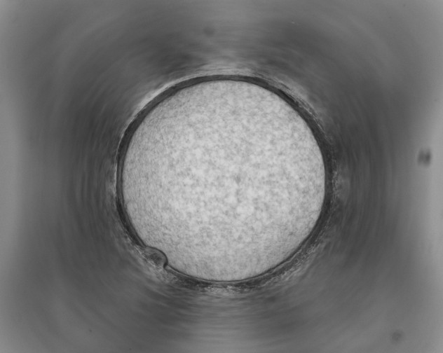 X0000096691220200802261532