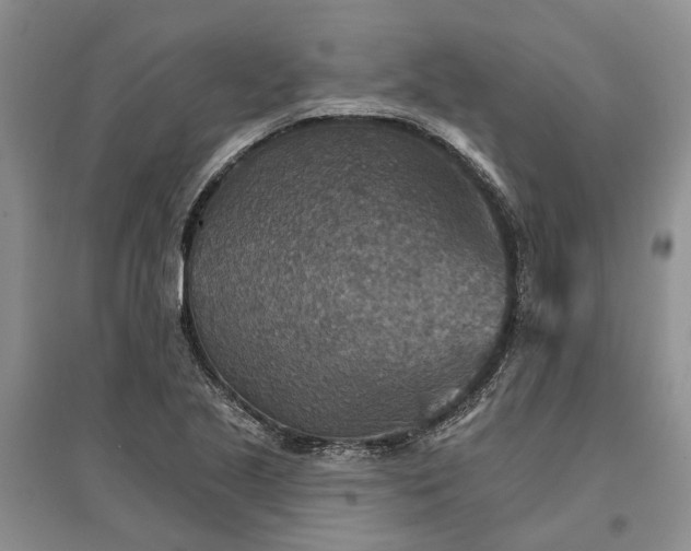 X0000096691221200802261532