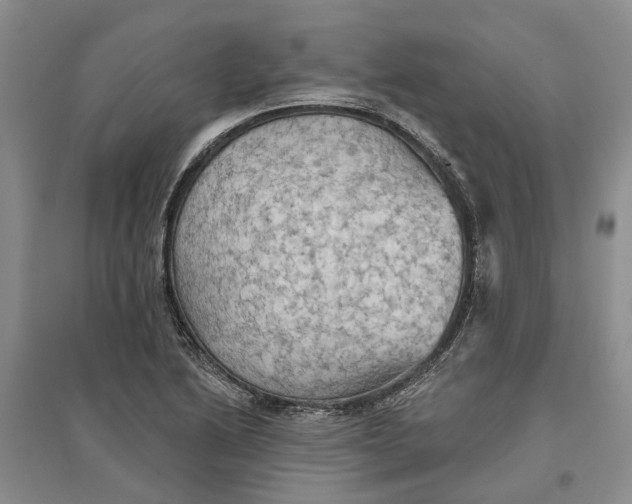 X0000096691222200802261532