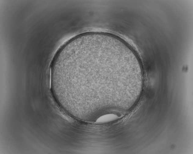 X0000096691223200802261532