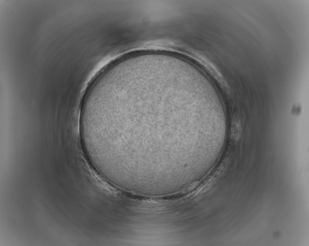 X0000096691224200802261532