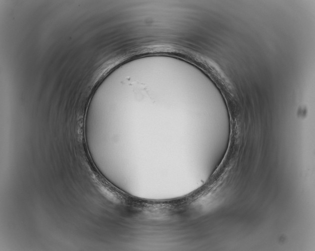 X0000096691225200802261532