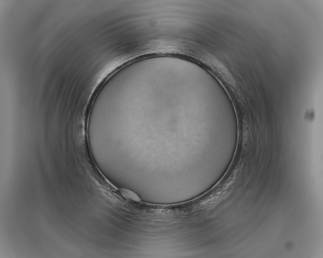 X0000096691226200802261532