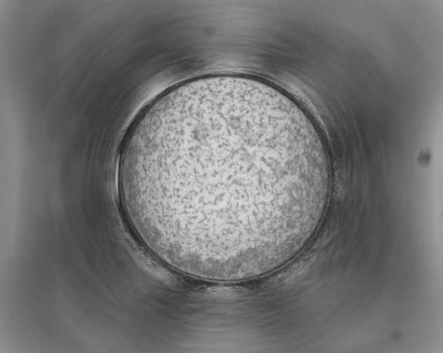 X0000096691227200802261532