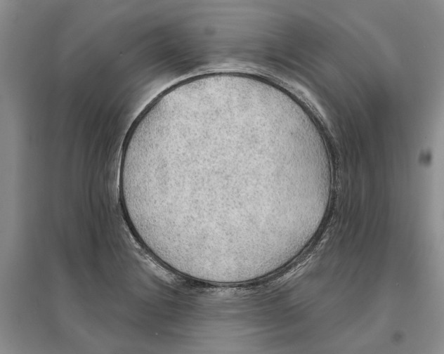 X0000096691228200802261532