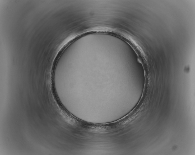 X0000096691229200802261532