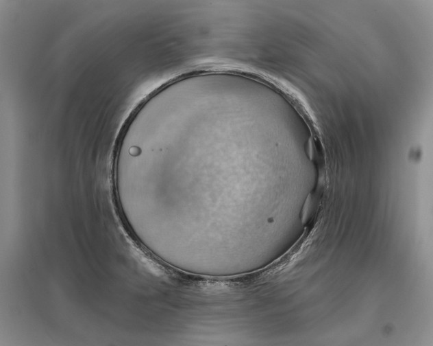 X0000096691231200802261532