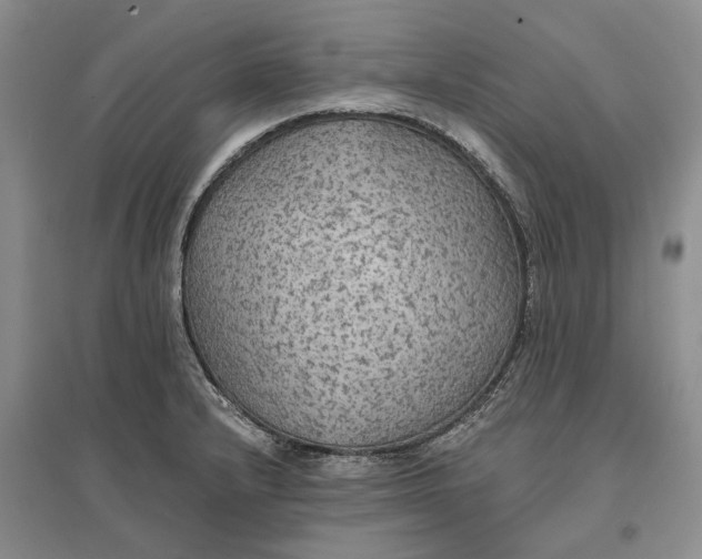 X0000096691232200802261532