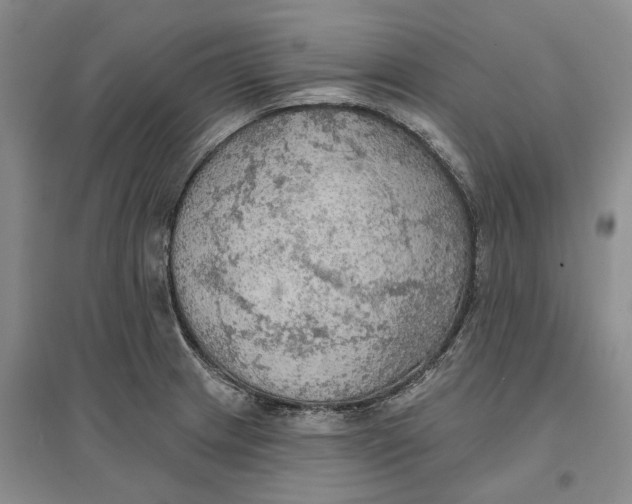 X0000096691233200802261532