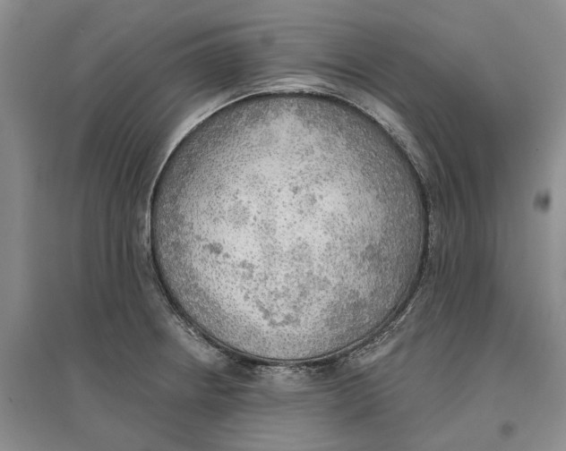 X0000096691234200802261532