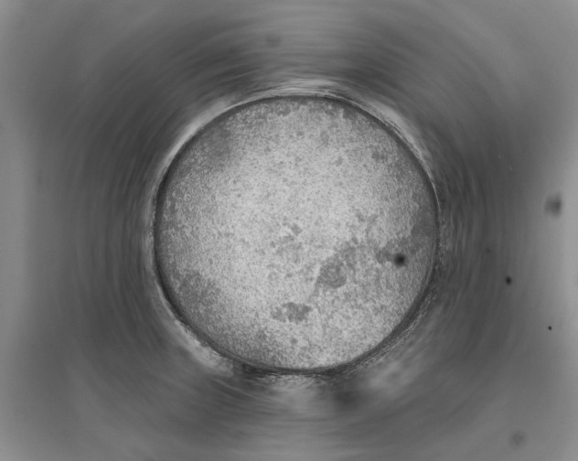 X0000096691235200802261532