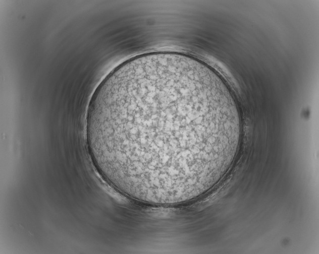 X0000096691236200802261532