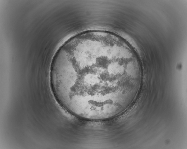 X0000096691237200802261532