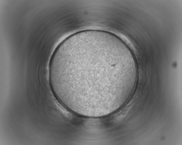 X0000096691238200802261532