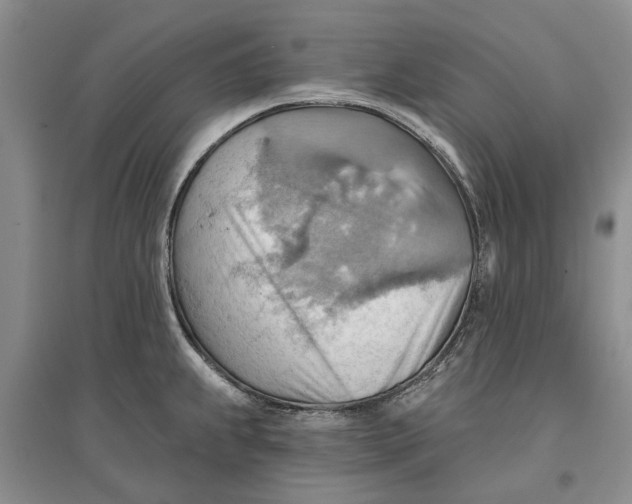 X0000096691239200802261532