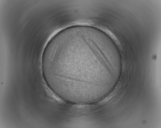 X0000096691240200802261532