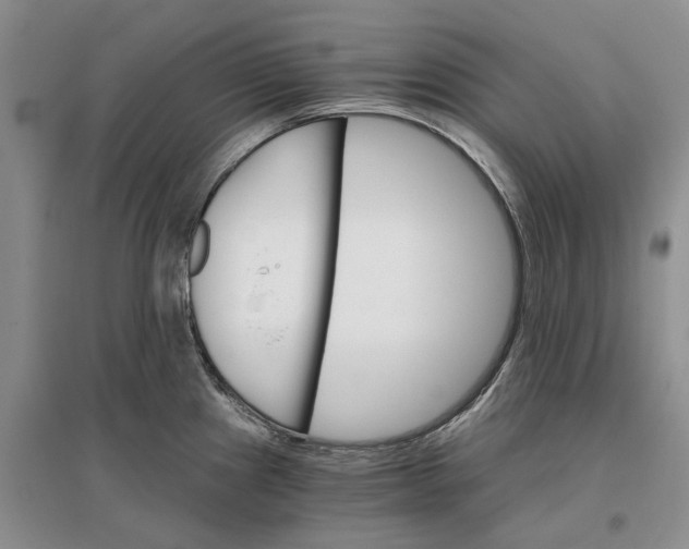 X0000096691241200802261532