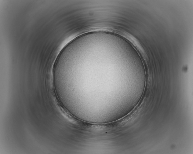 X0000096691242200802261532