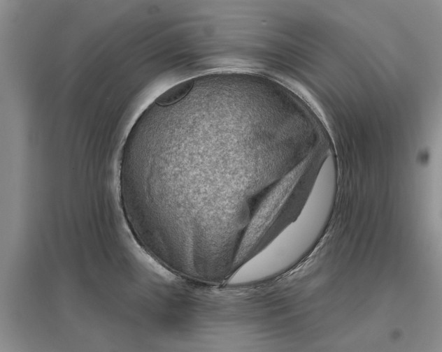 X0000096691243200802261532