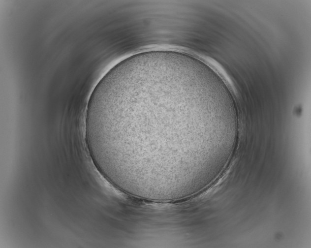 X0000096691244200802261532