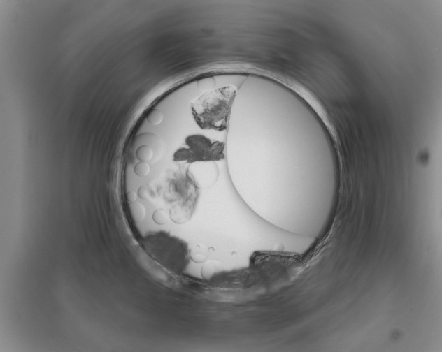 X0000096691245200802261532