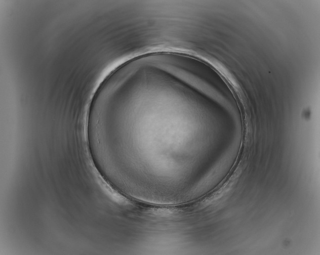 X0000096691246200802261532