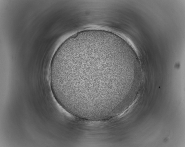 X0000096691247200802261532