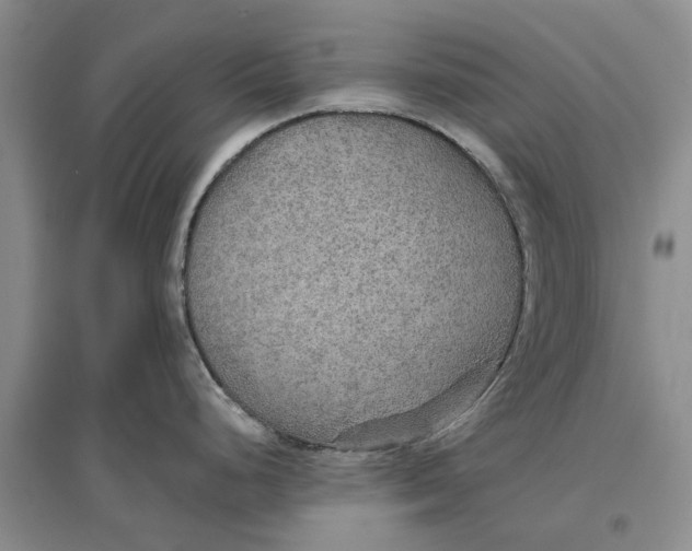 X0000096691248200802261532