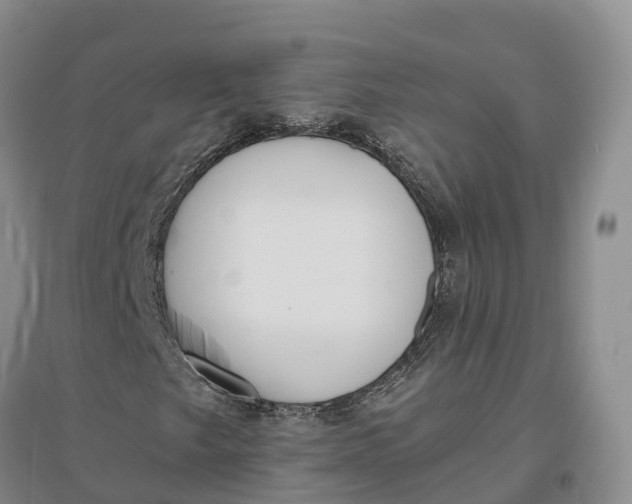 X0000096691249200802261532