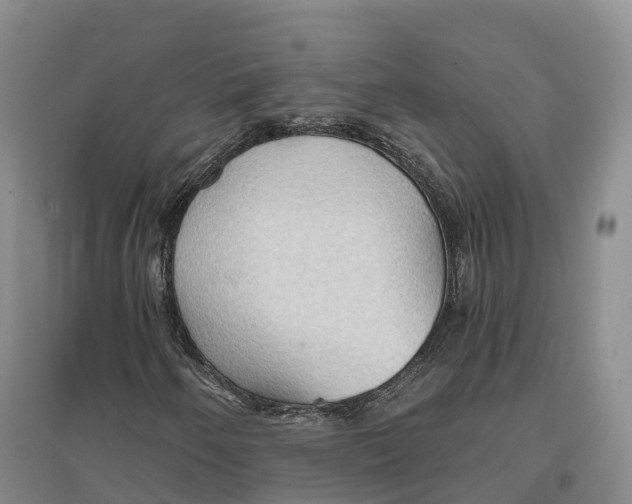 X0000096691250200802261532