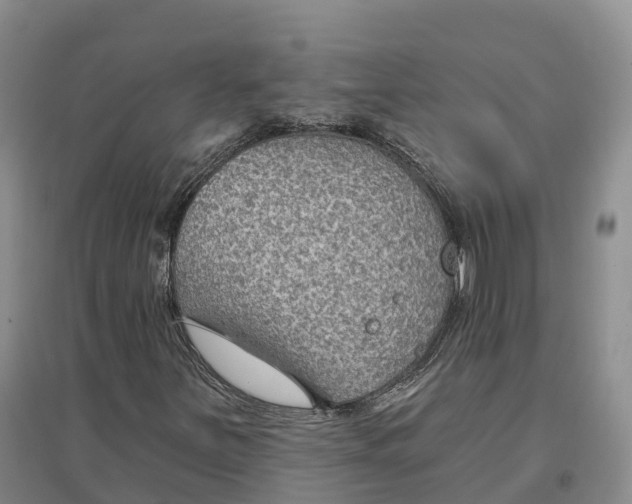 X0000096691251200802261532