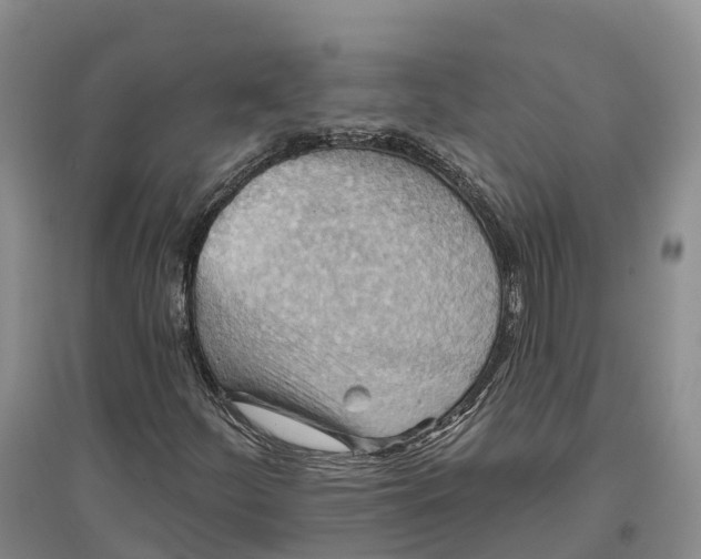 X0000096691252200802261532