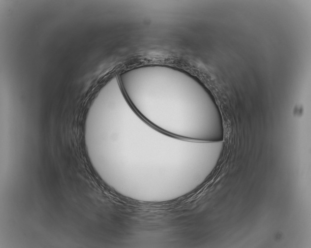 X0000096691253200802261532