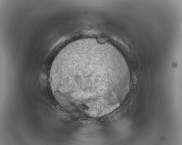 X0000096691254200802261532