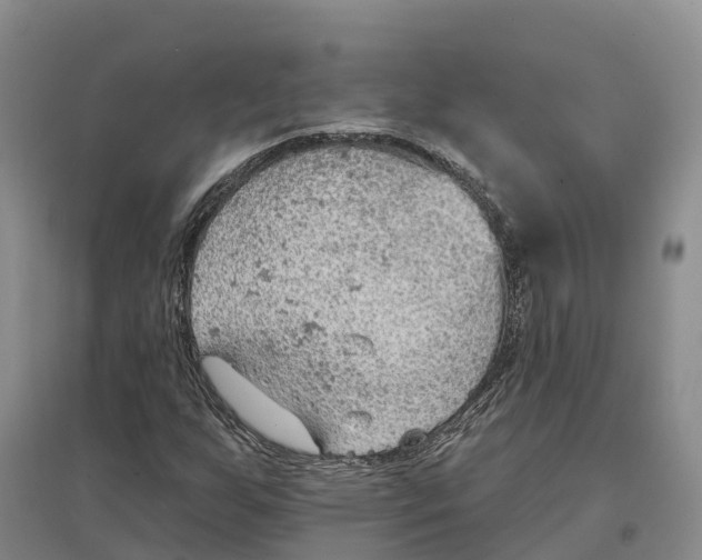 X0000096691255200802261532