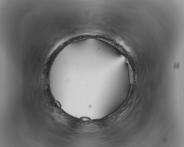 X0000096691256200802261532